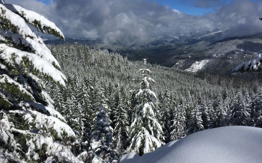 A Winter View of the Steamboat Watershed